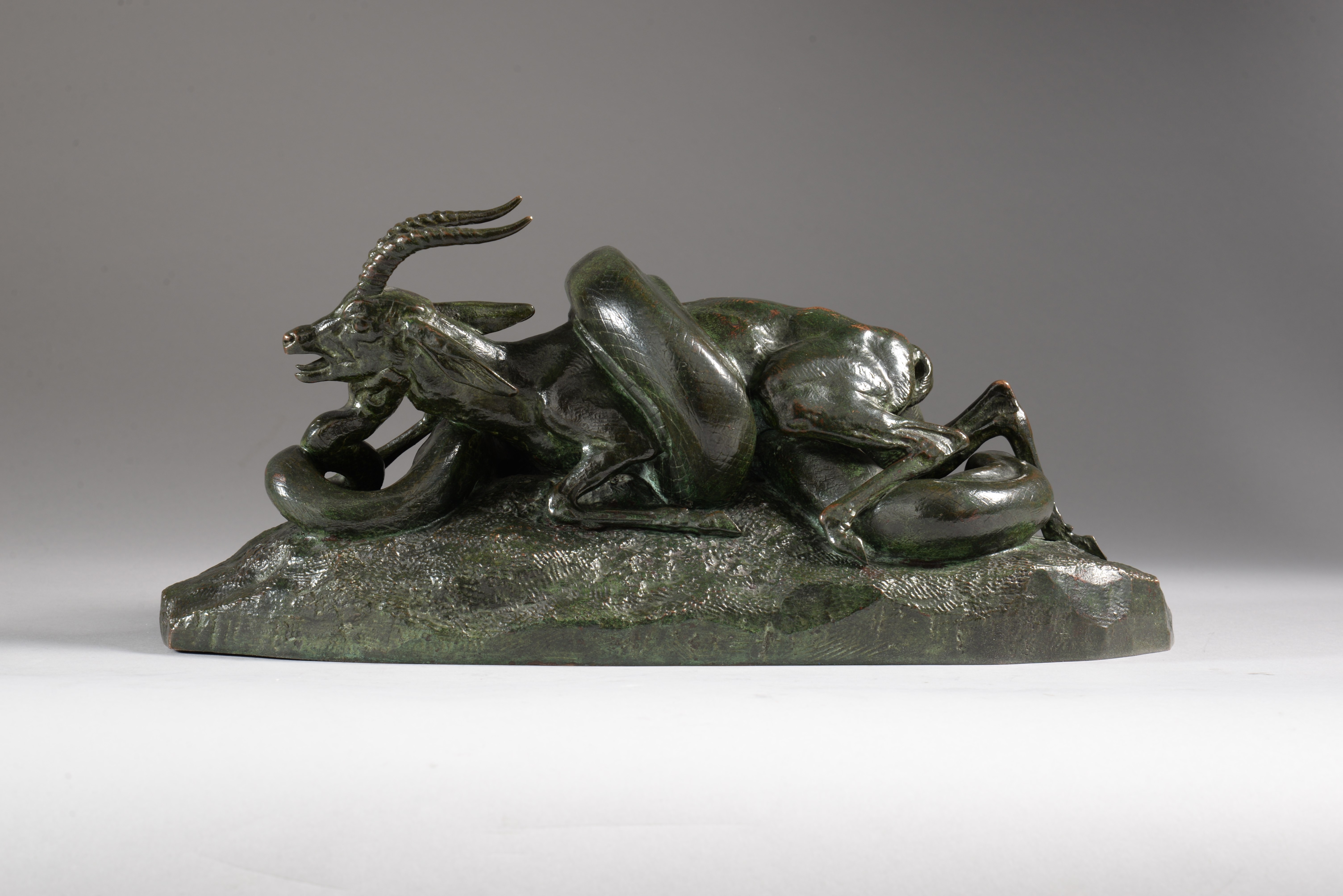 PYTHON ENLAÇANT UNE GAZELLE (1841)
